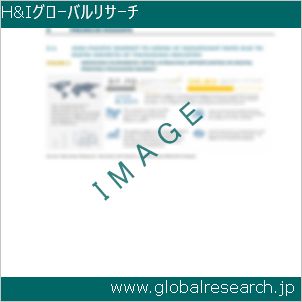 グローバルリサーチ調査レポートのイメージ
